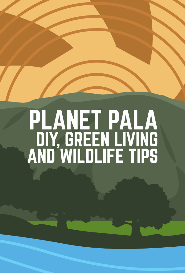 Pala Band California Environmental Department PED Planet Pala