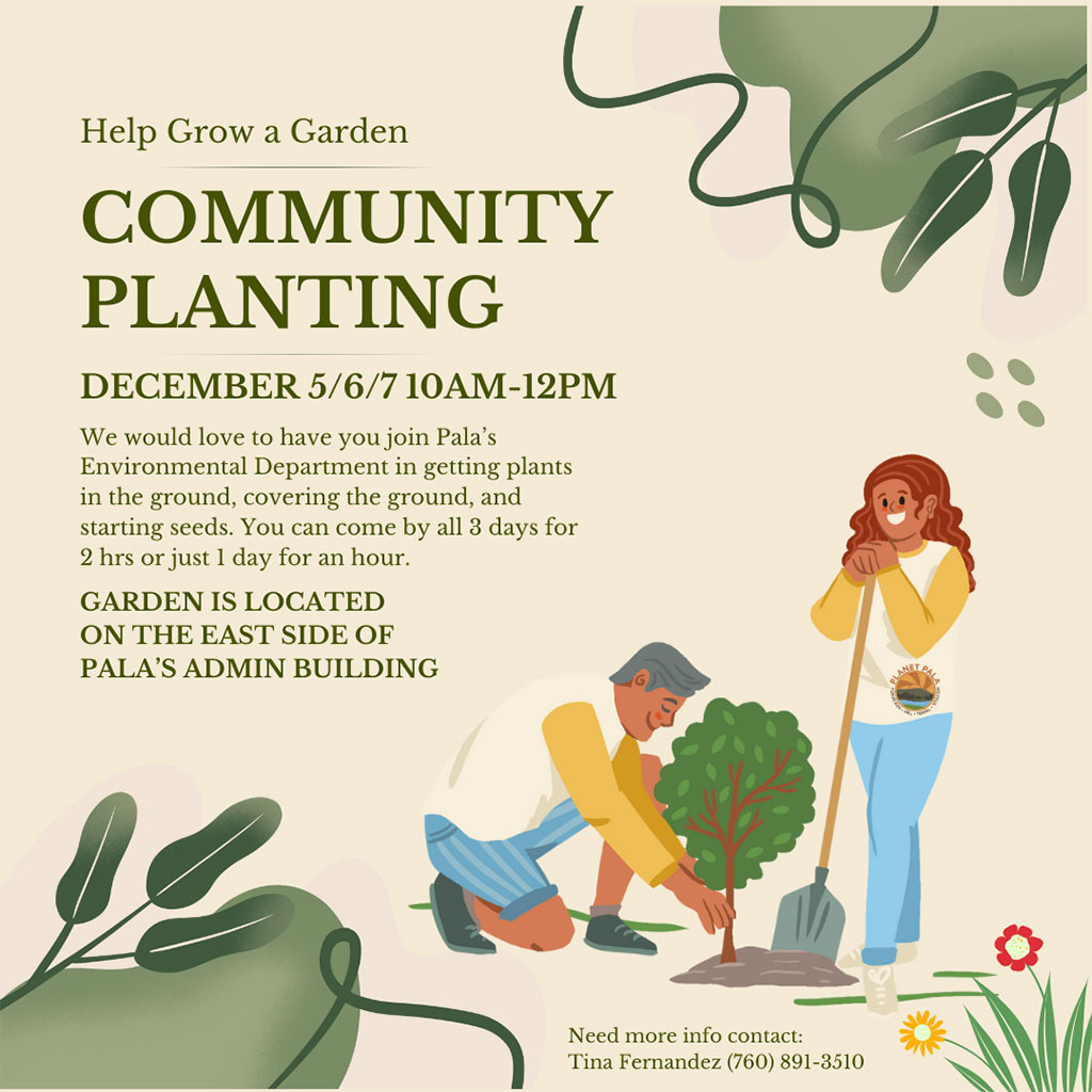 Pala Band Pala Environmental Department PED Planet Pala Community Planting