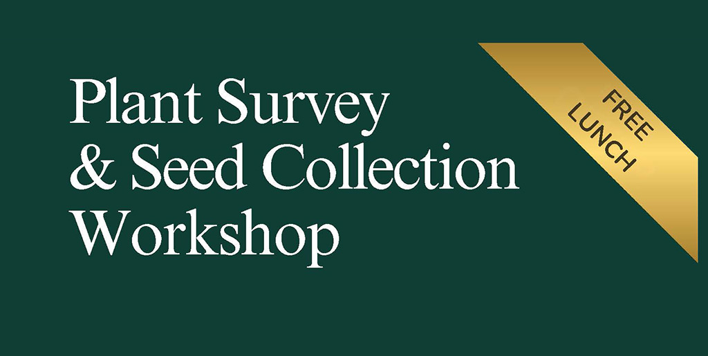 Pala Environmental Department PED Planet Pala Band of Mission Indians Pala People's Garden Plant Survey Seed Collection Workshop