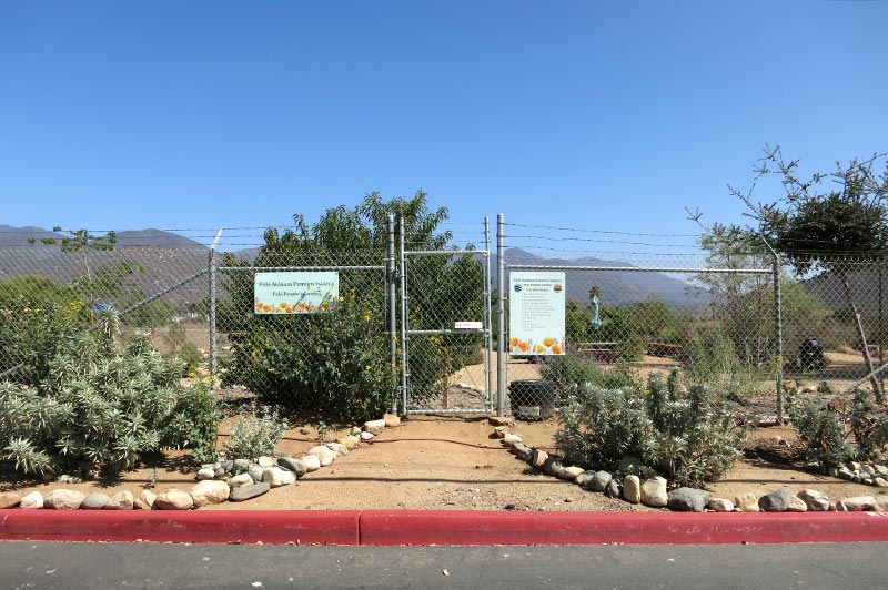 Pala Band of Mission Indians California Pala Atáxam Pemtew’naan’a Pala People’s Garden