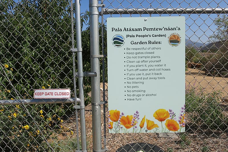 Pala Band of Mission Indians California Pala Atáxam Pemtew’naan’a Pala People’s Garden