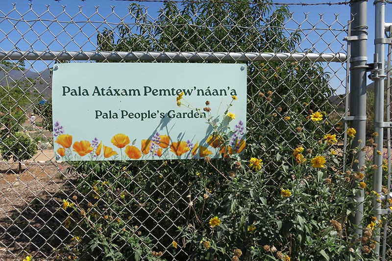 Pala Band of Mission Indians California Pala Atáxam Pemtew’naan’a Pala People’s Garden