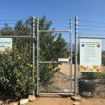 Pala Band of Mission Indians California Pala Atáxam Pemtew’naan’a Pala People’s Garden